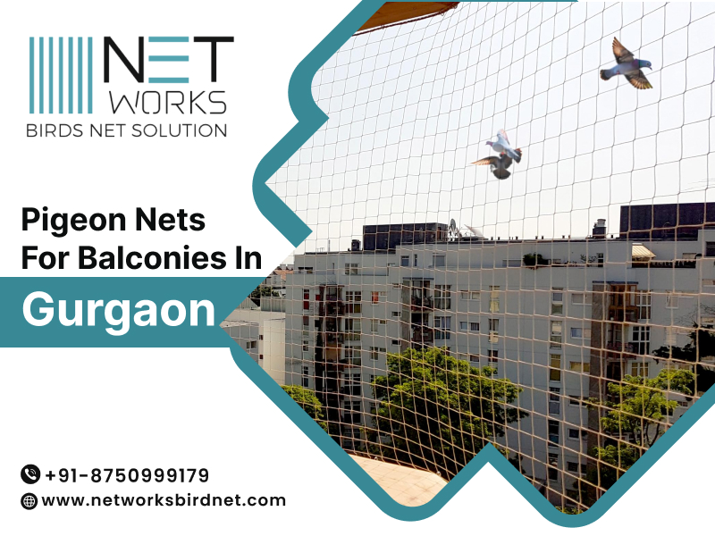 networksbirdnet's tweet image. Protect your balcony with high-quality pigeon nets from Networks Bird Net, the trusted name for pigeon nets for balconies in Gurgaon. 
Visit: posts.gle/eAJ6CK
#PigeonNets #BalconyProtection #Gurgaon #NetworksBirdNet #birdnet