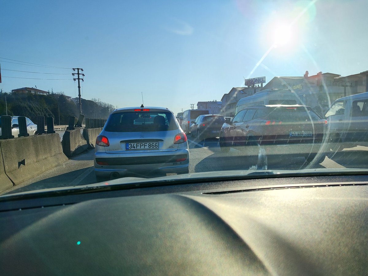Her şeyi bi kenara bırakıp gidip köye yerleşicem sonunda. 2 inek 8-10 tavuk gül gibi yaşar giderim.

Hıı günaydın bu arada 🌸