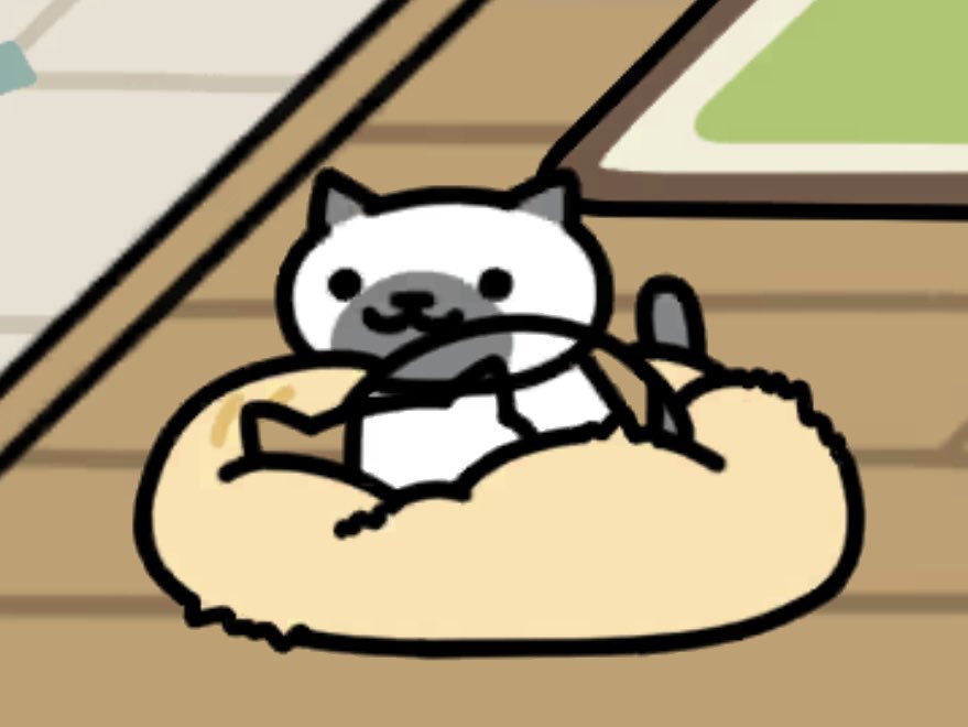 Sillaisu's tweet photo. cute bug https://t.co/qFQSh1G3Yz