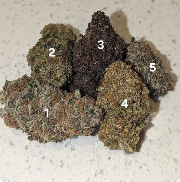 _StonersRUs_'s tweet image. Which bud are you smoking first? 🤔