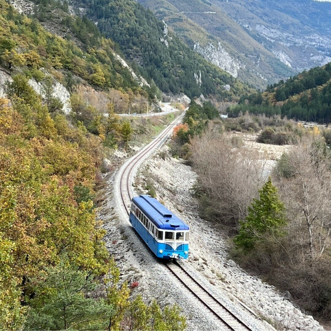 Nice-Matin tweet media