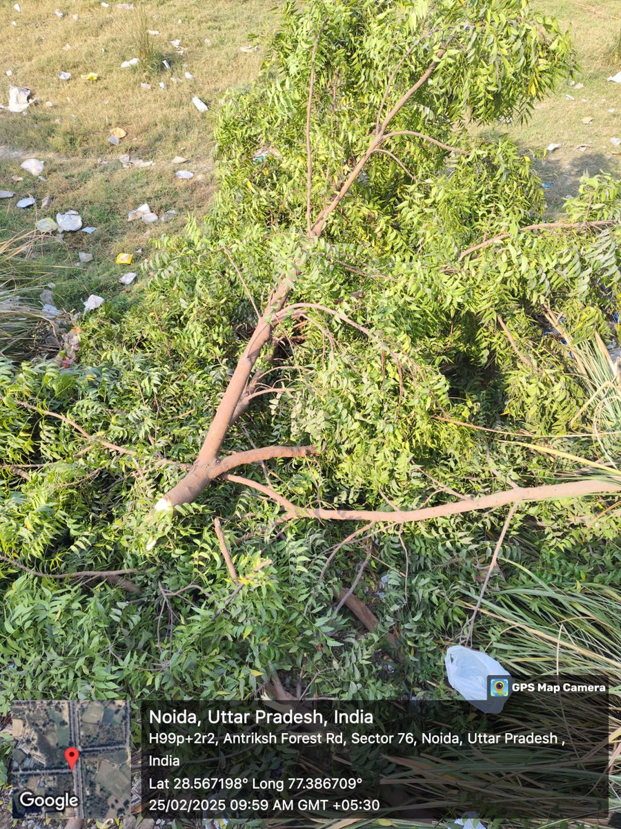 <a href="/CeoNoida/">CEO, NOIDA Authority</a> <a href="/myogiadityanath/">Yogi Adityanath</a> Sector 76 has become a hub for illegal street food vendors and see what are they doing for space! Pls stop this ! Vendors say that pay rent for this but to whom?even one police booth is there <a href="/sspnoida/">sspnoida</a> <a href="/PankajSinghBJP/">Pankaj Singh</a>