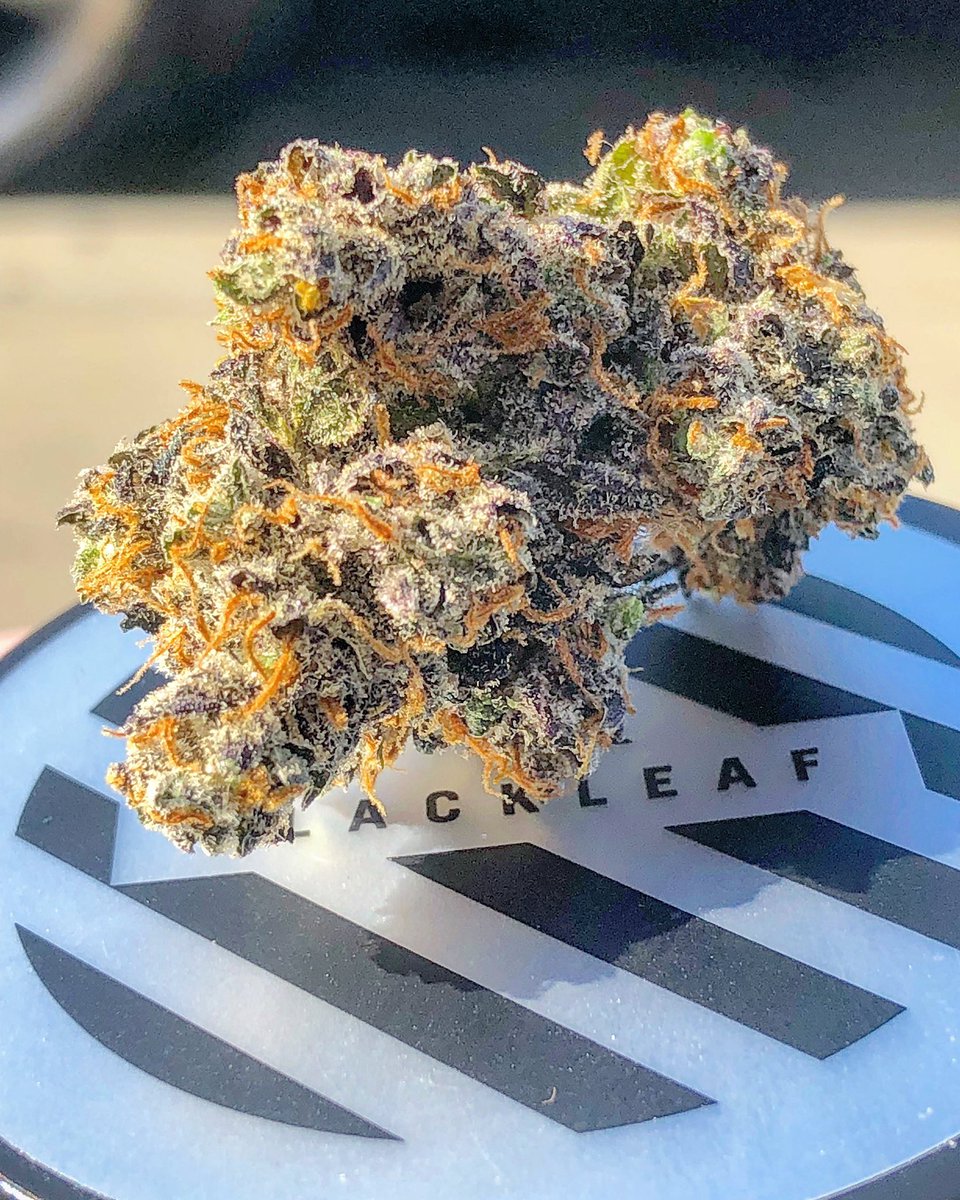 BlackLeaf_LA's tweet photo. Love Potion # 9 aka Chunky Diesel 💕 a true aphrodisiac Strain !! Had multiple people all completely unknown to one another by city &amp; even states. 🔥 This one gets the engines Fired UP !!! No lie *Multiple Different People Unsolicited telling stories about this strain. https://t.co/hmGW7qESSf