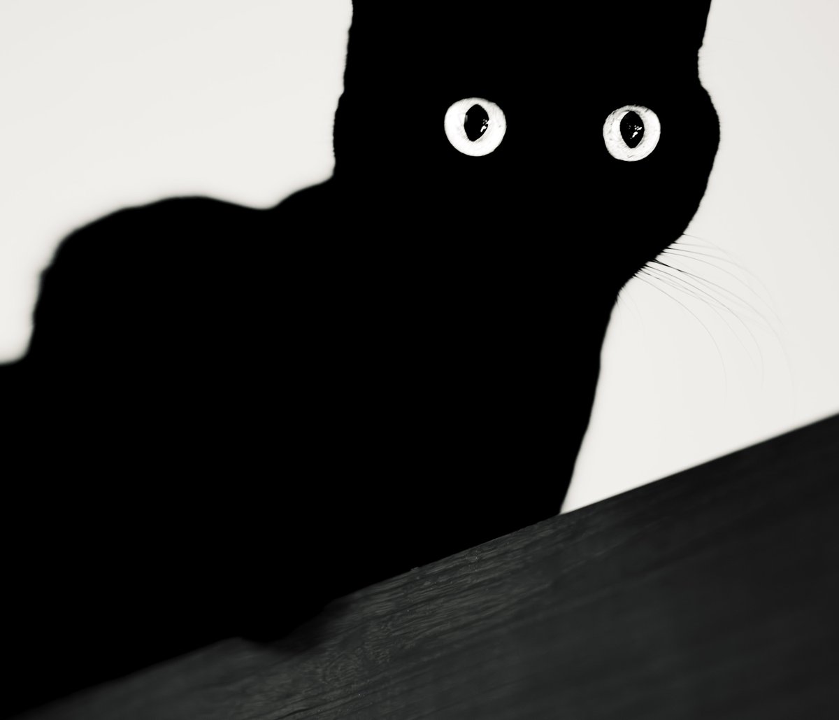 silhouette