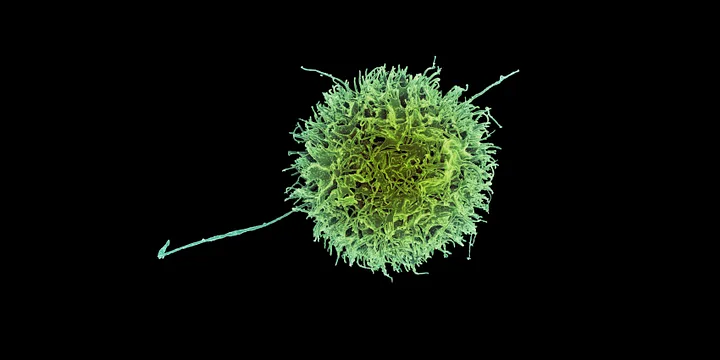 KnowledgeZoneIn's tweet image. #Evading the #ImmuneSystem : Medium

Our #Universe is #Expanding #Faster than science can explain, sending #Physics into "#Crisis" mode : Earth.com

Why do #Birds lay #Blue #Eggs? : Disc WildLife

Check our latest #KnowledgeLinks

knowledgezone.co.in/resources/book…