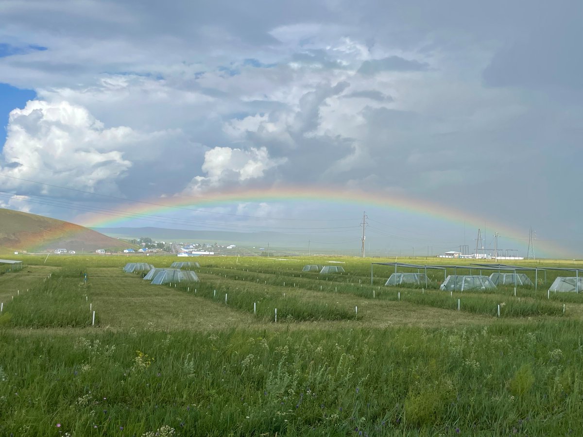 China Link Scholarship Program 2025 for undergraduates, graduates and faculties has been released now (admissions.cau.edu.cn/art/2025/2/21/…). If you would like to have a short term visit to our lab, please contact me (gaowenyang.wordpress.com).