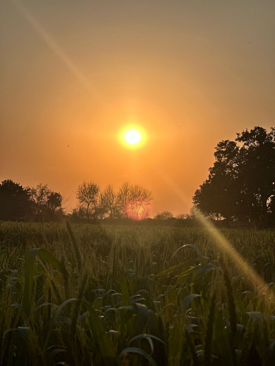 Do you like sunrise or sunset