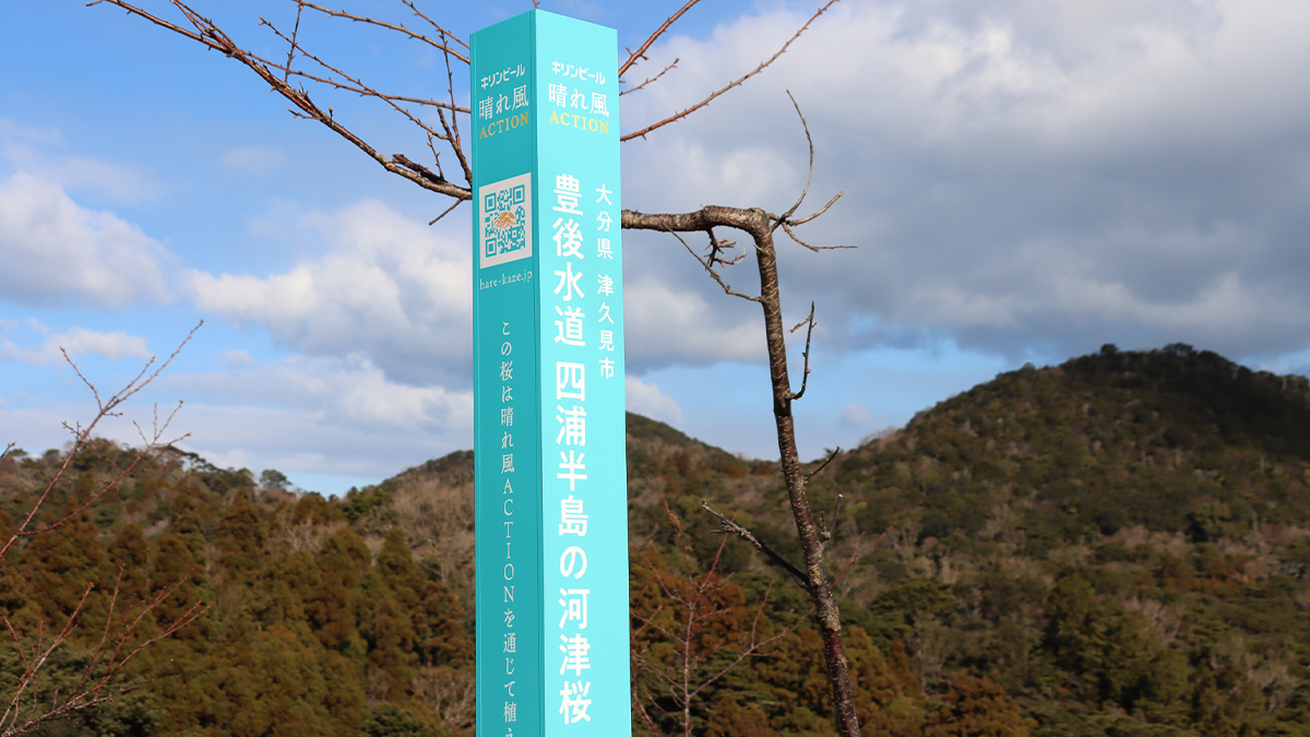 晴れ風ACTION の輪が広がってます🌸 ＼ 先日、#晴れ風ACTION の参加