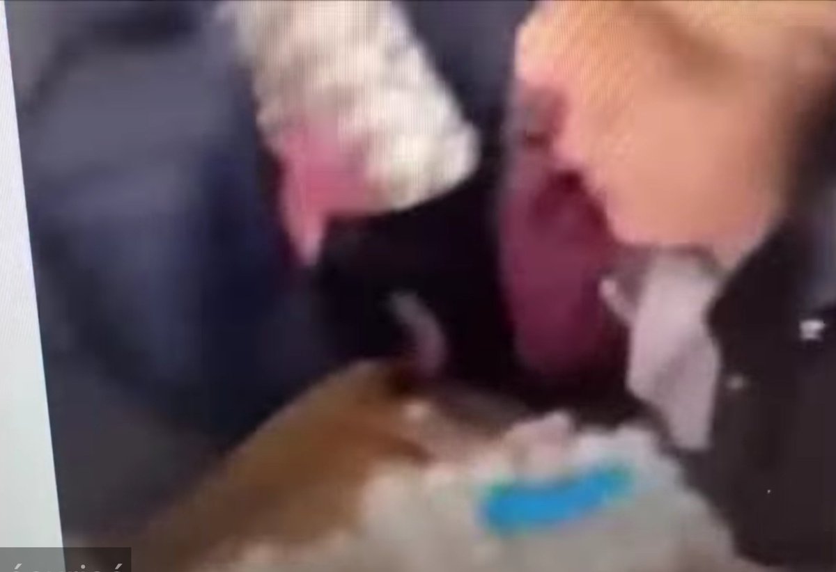 MBelhitto's tweet image. Capture d&apos;écran #capec

L&apos;âge d&apos;or américain tourne au cauchemar . Les poules ne pondent plus que des oeufs d&apos;or . Problème , ceux-ci sont incomestibles et les gens ne trouvent plus des oeufs à casser pour faire des omelettes ..