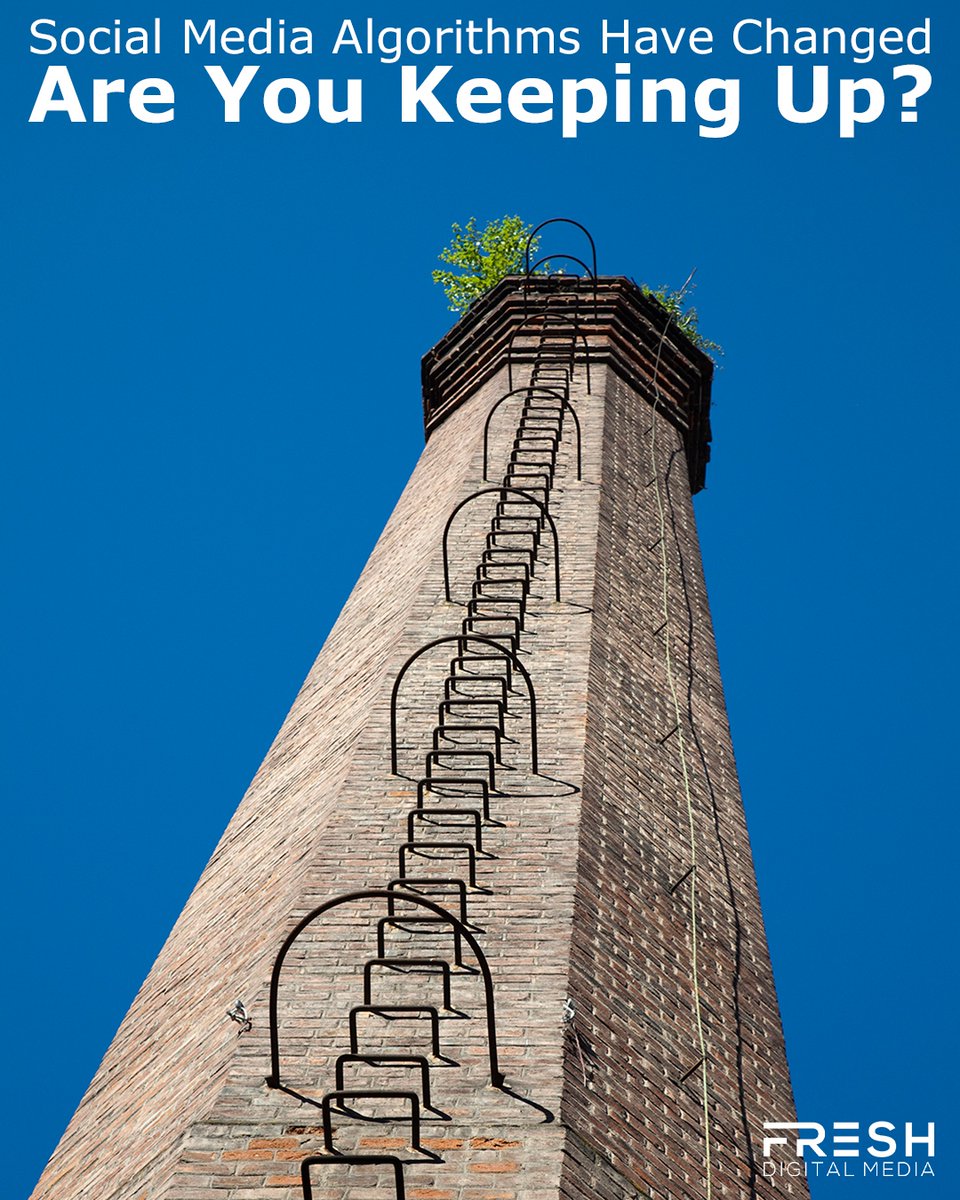 Fresh Digital Media tweet media