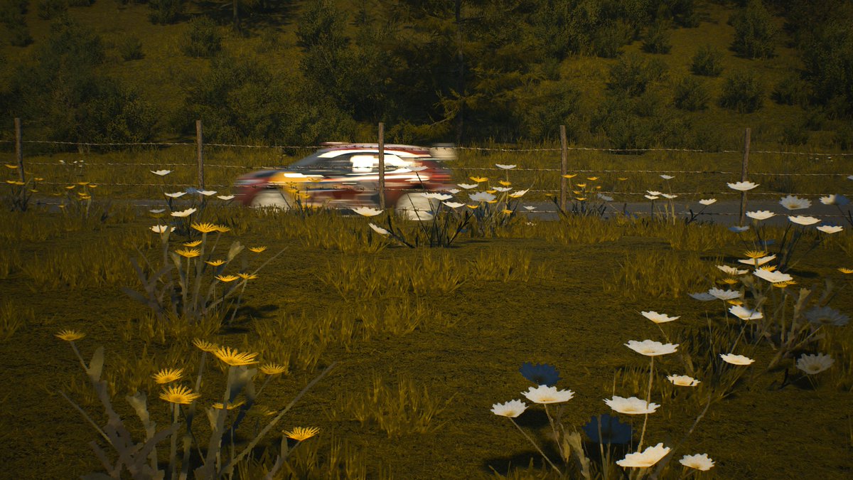 miss_clemen3's tweet image. #EASPORTSWRC
#VirtualPhotography
#GhostArts