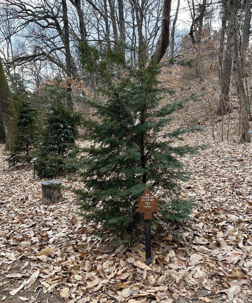 <a href="/papapark_d6/">바바박</a> 데나무 건강하게 잘 지내고 있습니다🌲