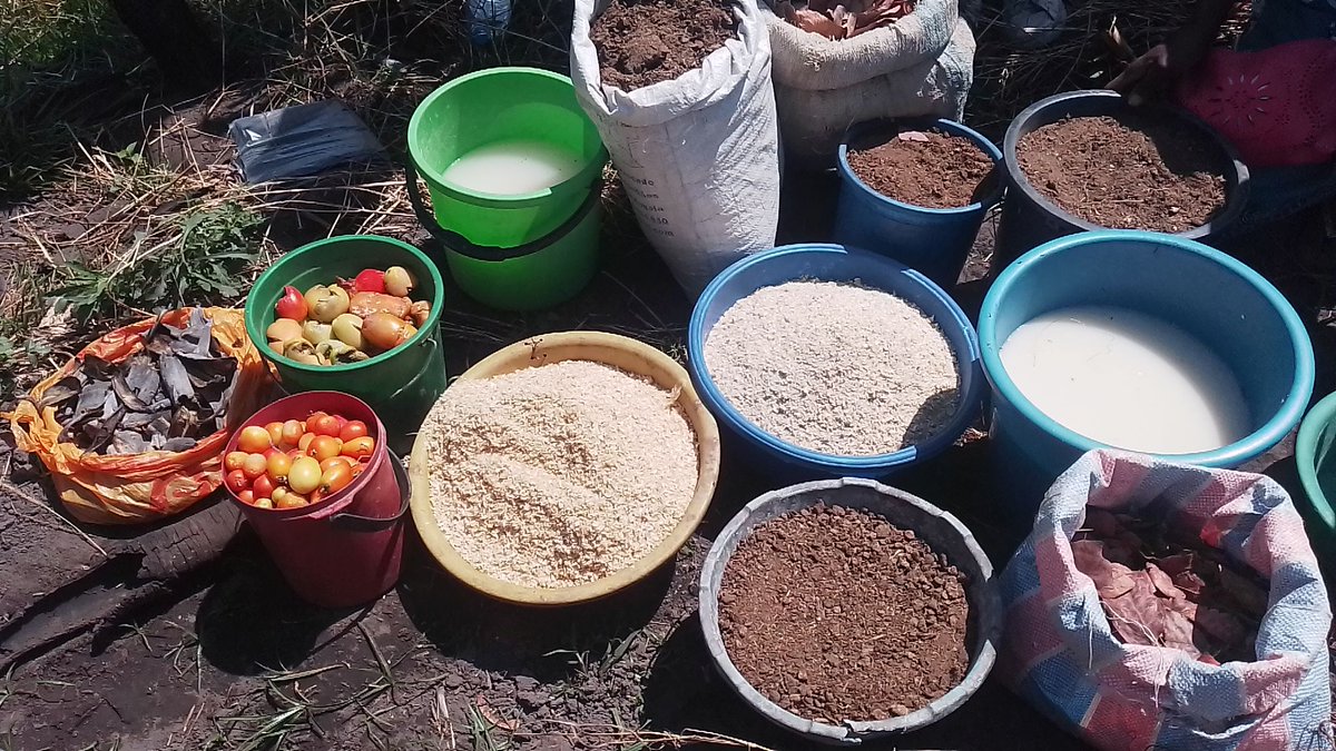 AuHCSouthAfrica's tweet image. 🌱 Turning waste into clean energy &amp;amp; growing a resilient future!

Funded through our #DirectAidProgram, the Chitanda project in Angola is helping farmers enhance food security with climate-smart techniques &amp;amp; biogas technology.

More food, less waste, clean energy! 🌍