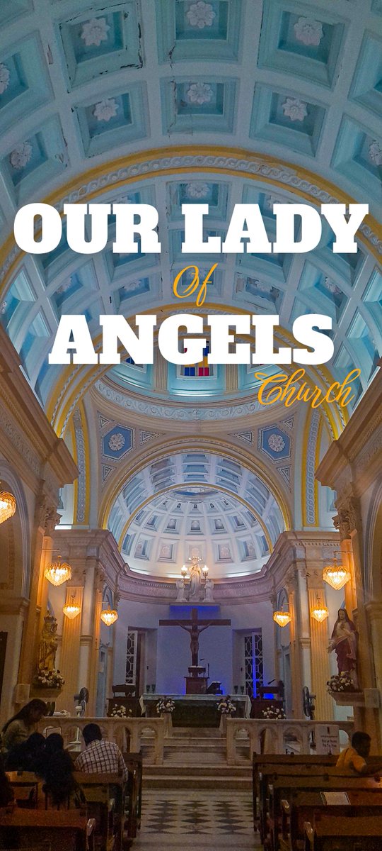 shcodify's tweet image. 