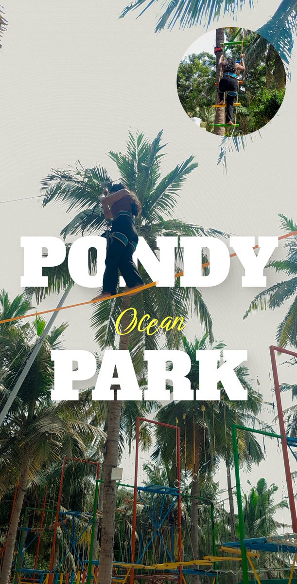 shcodify's tweet image. 