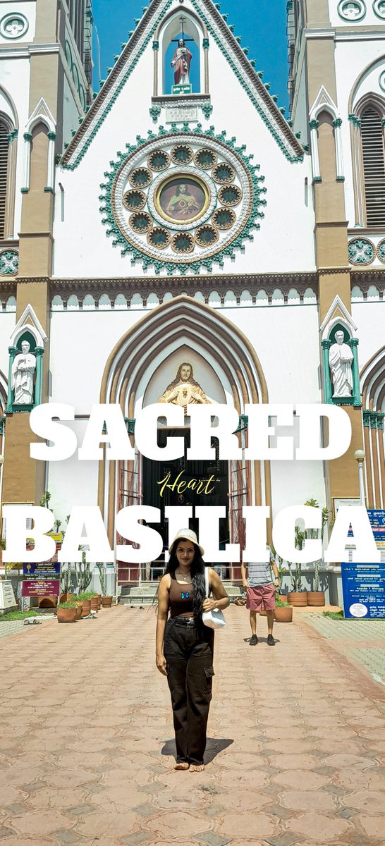 shcodify's tweet image. 