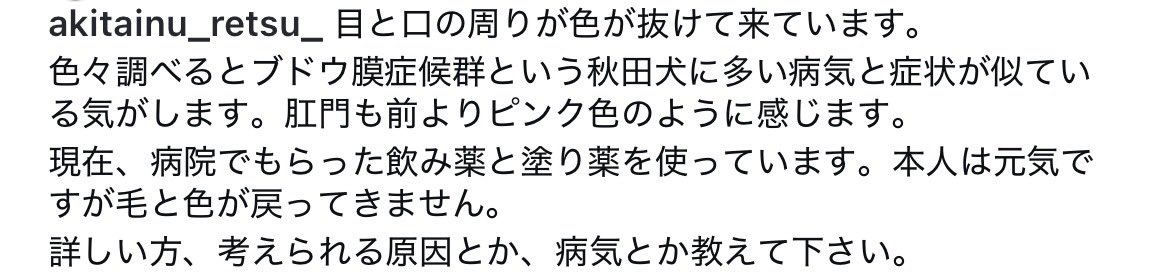 髙橋洸 tweet media