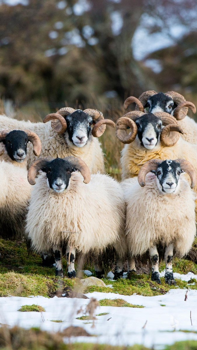 Squeak squeak!

MOUSE is ready to conquer the galaxy! 🧀
Join - t.me/mousehous_bot