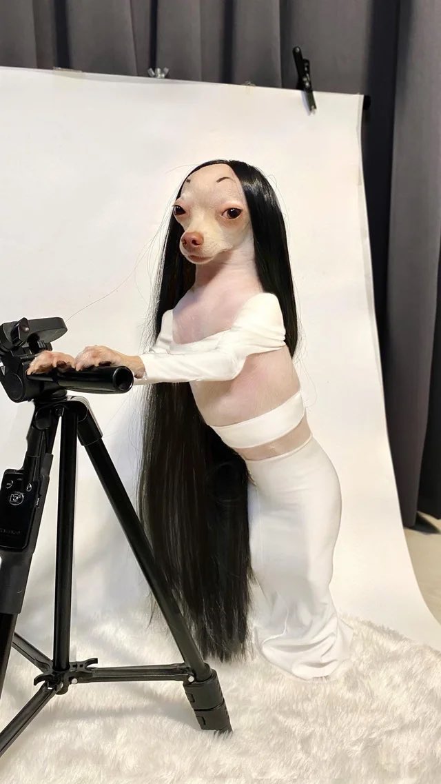 <a href="/BoujeeNBanjee/">Banjee Barbie Back 💋🍉</a> Battle of the unseasoned chickens