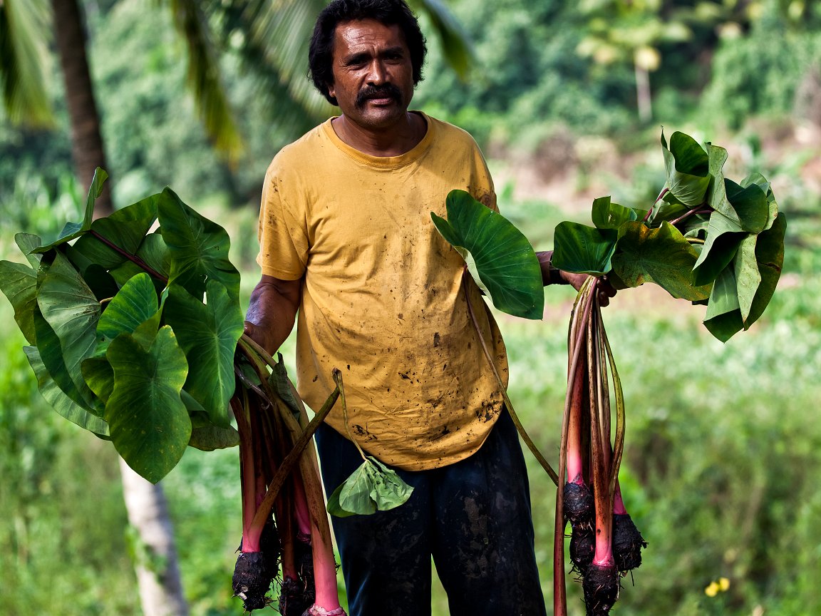 Climate Centre (@rcclimate) on Twitter photo .<a href="/jagan_chapagain/">Jagan Chapagain</a> welcomes <a href="/theGCF/">Green Climate Fund</a>'s nearly $700m of new money that includes further backing for 'crucial' UN EW4All goal; GCF currently supports <a href="/RCClimate/">Climate Centre</a> work on anticipatory action in Timor Leste & 5 Pacific island nations, incl (photo) Cook Islands - bit.ly/3Xf2uOx .<a href="/jagan_chapagain/">Jagan Chapagain</a> welcomes <a href="/theGCF/">Green Climate Fund</a>'s nearly $700m of new money that includes further backing for 'crucial' UN EW4All goal; GCF currently supports <a href="/RCClimate/">Climate Centre</a> work on anticipatory action in Timor Leste & 5 Pacific island nations, incl (photo) Cook Islands - bit.ly/3Xf2uOx