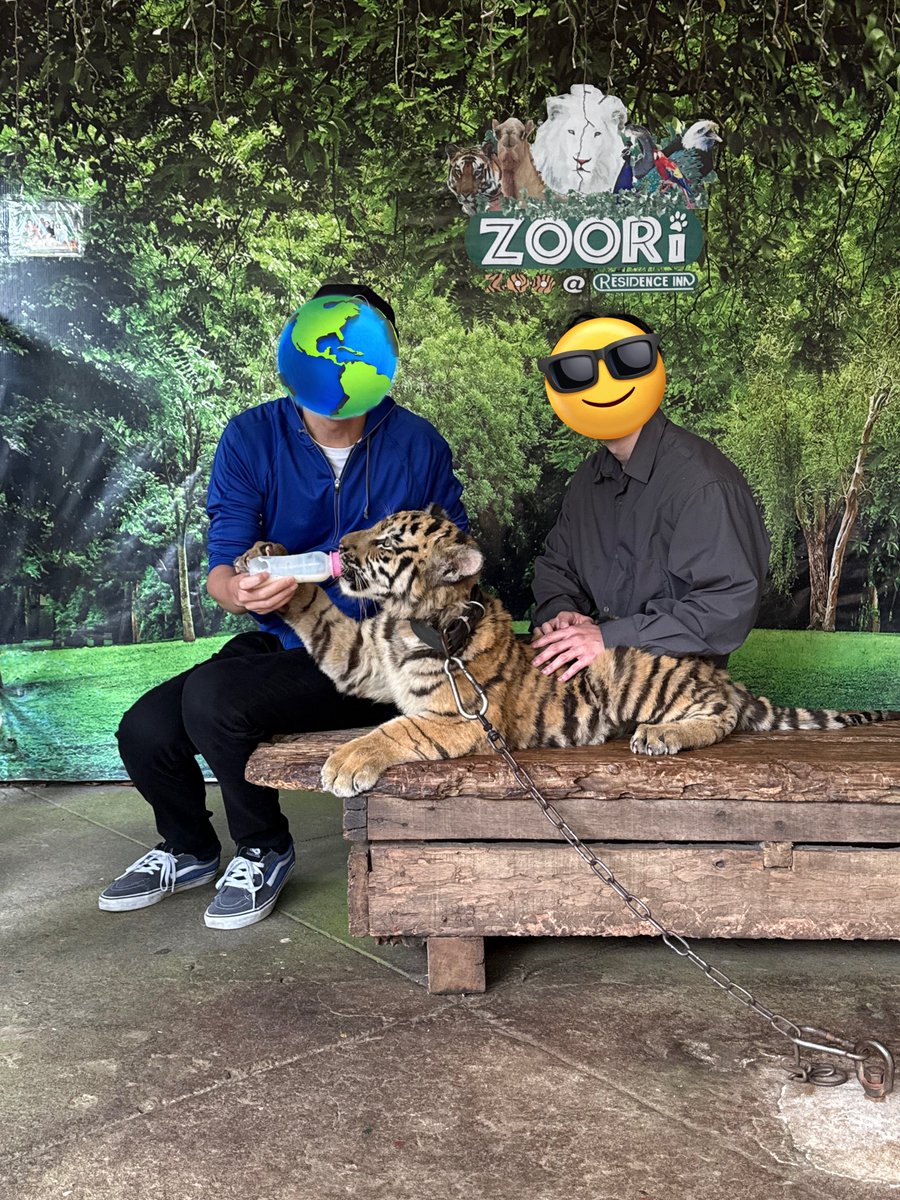 PTX_xyz's tweet photo. バイク借りてマニラから2時間くらいの避暑地タガイタイまで来ました🏍️

今日の愛馬は2年半ぶりのNinja 400！

2ケツでフィリピン走るのなかなか無い経験で楽しい😸

フィリピンの田舎の方は沖縄の離島走ってるみたい
マニラ近郊はエグい交通量とすり抜けの嵐😱

#Kawasaki #Ninja400  #虎🐅 https://t.co/5qadFtdzAQ