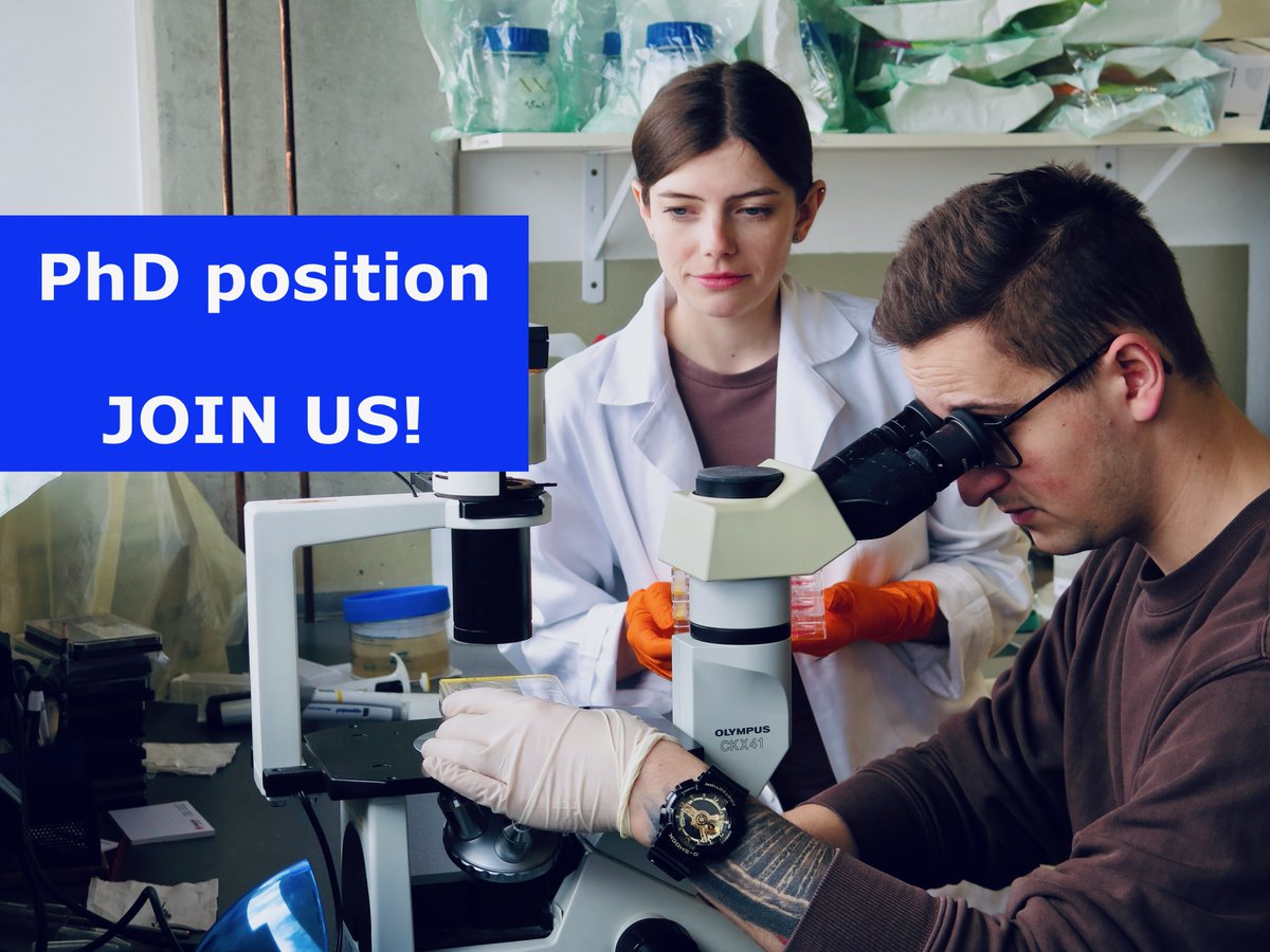Pavel Moudrý (@3reak) on Twitter photo Looking for a PhD in cutting - edge cancer research?
Join DNA replication dynamics group at <a href="/IMTM_Olomouc/">Institute of Molecular and Translational Medicine</a> <a href="/NUVR_CZ/">NÚVR</a> @UPOL to study PARP inhibitors - key cancer drugs - and their impact on DNA replication.
The fight against cancer starts in the lab! #PhDposition #CancerResearch Looking for a PhD in cutting - edge cancer research?
Join DNA replication dynamics group at <a href="/IMTM_Olomouc/">Institute of Molecular and Translational Medicine</a> <a href="/NUVR_CZ/">NÚVR</a> @UPOL to study PARP inhibitors - key cancer drugs - and their impact on DNA replication.
The fight against cancer starts in the lab! #PhDposition #CancerResearch