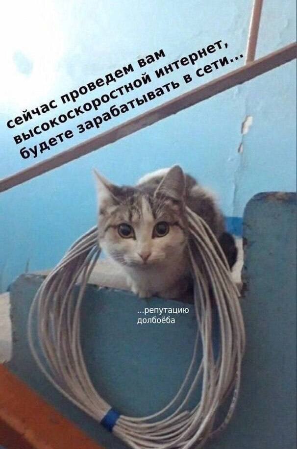 MikhailShakhov's tweet photo. Ситуация. https://t.co/znIio37o5f