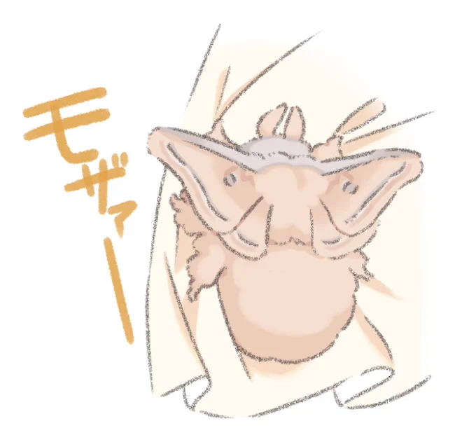 ヤママユモスぬいぐるみたちは皆お家が決まったようです。可愛がってあげてくださいね! 
