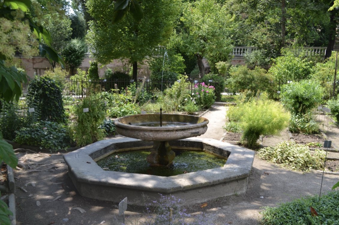 Our latest blog looks at botanic gardens across Europe and their determination to bounce back from seeming disaster. Come with us on a journey from Edinburgh to Padua, via Pisa, Lisbon &amp; Porto. With plenty of pollinator interest along the way.  Blog @ scottishpollinators.wordpress.com