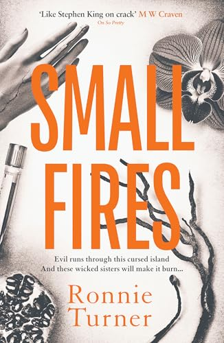 rosieamber1's tweet photo. 📚Gothic #Mystery 

@yvonnembee reviews Small Fires by Ronnie Turner @OrendaBooks 

#TuesdayBookBlog 
#BookTwitter 
#booktwt 

https://t.co/kSYKbfvdZA https://t.co/3AM0a9PNzJ