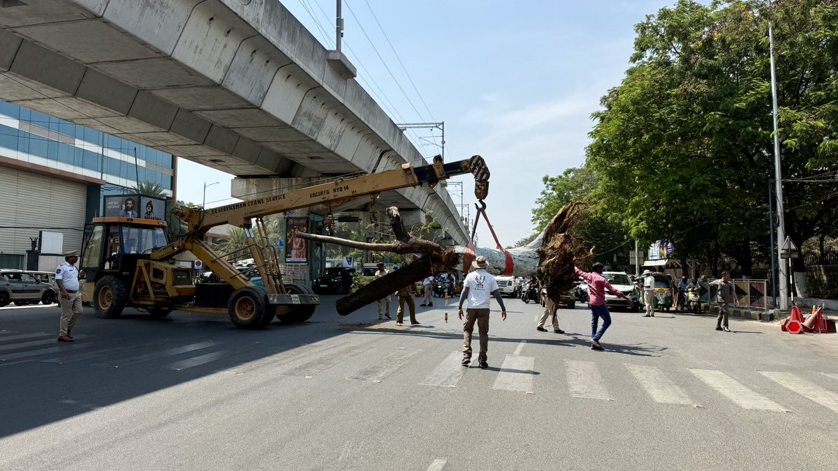 vata_foundation's tweet image. Yes… when a tree is moved.. the World can wait.. (except an Ambulance) 

#SaveFullyGrownTrees
@CVAgentlauncher 
@HYDTP 
@CYBTRAFFIC 
@GHMCOnline 
@uday32008293