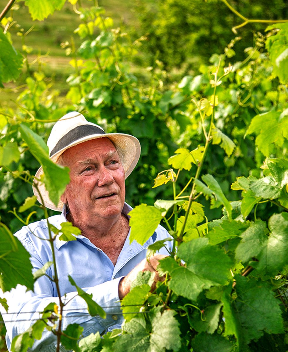 In Hemel-en-Aarde Ridge, Peter Clarke’s vision thrives: Choose the site, Trust the site. 🌿 From dryland vineyards to wines with purity &amp; depth, the Story Teller range reflects his adventures &amp; our terroir’s beauty✨ #LaVierge #StoryTeller #PurityAndConviction #HemelEnAardeRidge