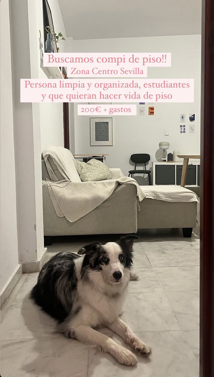 buscamos compi de piso para incorporación en Marzo hasta Julio, con posibilidad de seguir el año que viene 🫶🏼