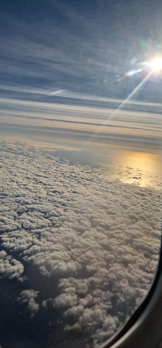 Simon Crafar tweet media