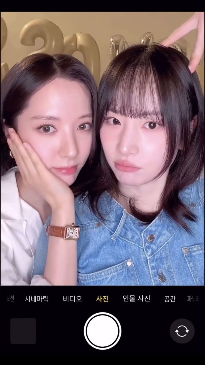 보나 아카이브 tweet media