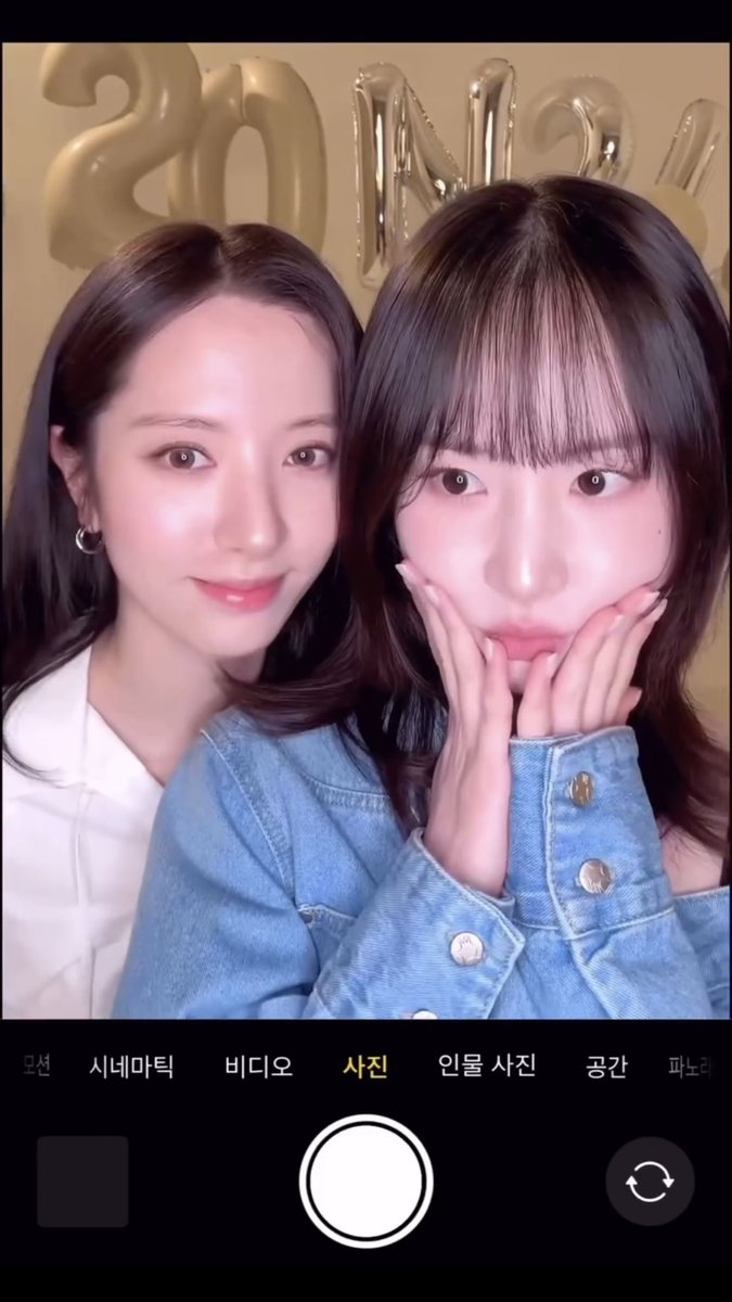 보나 아카이브 tweet media