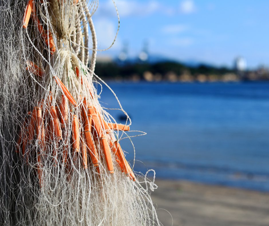 🌊 EBCD responds to EU #OceansPact consultation! 

🔹 Integrated, cross-sectoral governance 🤝
🔹 Ecosystem-based management🐟
🔹 Science-driven, adaptive policies 🔬
🔹 Inclusive decision-making ⚖️
🔹 Balance conservation &amp; sustainable use 🌊

 More 👉 lnkd.in/e879kHpy