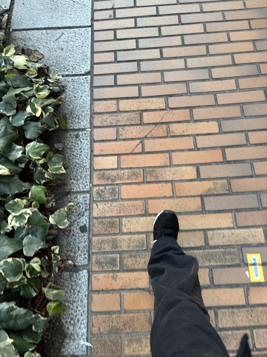 2/24
#日常垢 
毎日1歩1歩