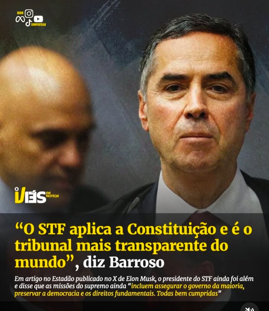 Carolina Vitoria tweet media