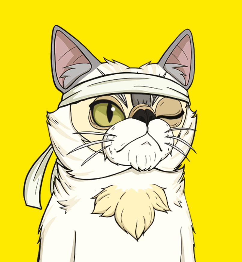 NFTCatClub's tweet photo. @ApexNoobi 😻Start of the week with Grumpy Cats
https://t.co/1Mn7x3hKUH https://t.co/q0khBYXnkj