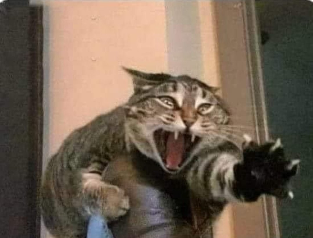 Quando il cameriere mi porta via il piatto prima di fare la scarpetta
