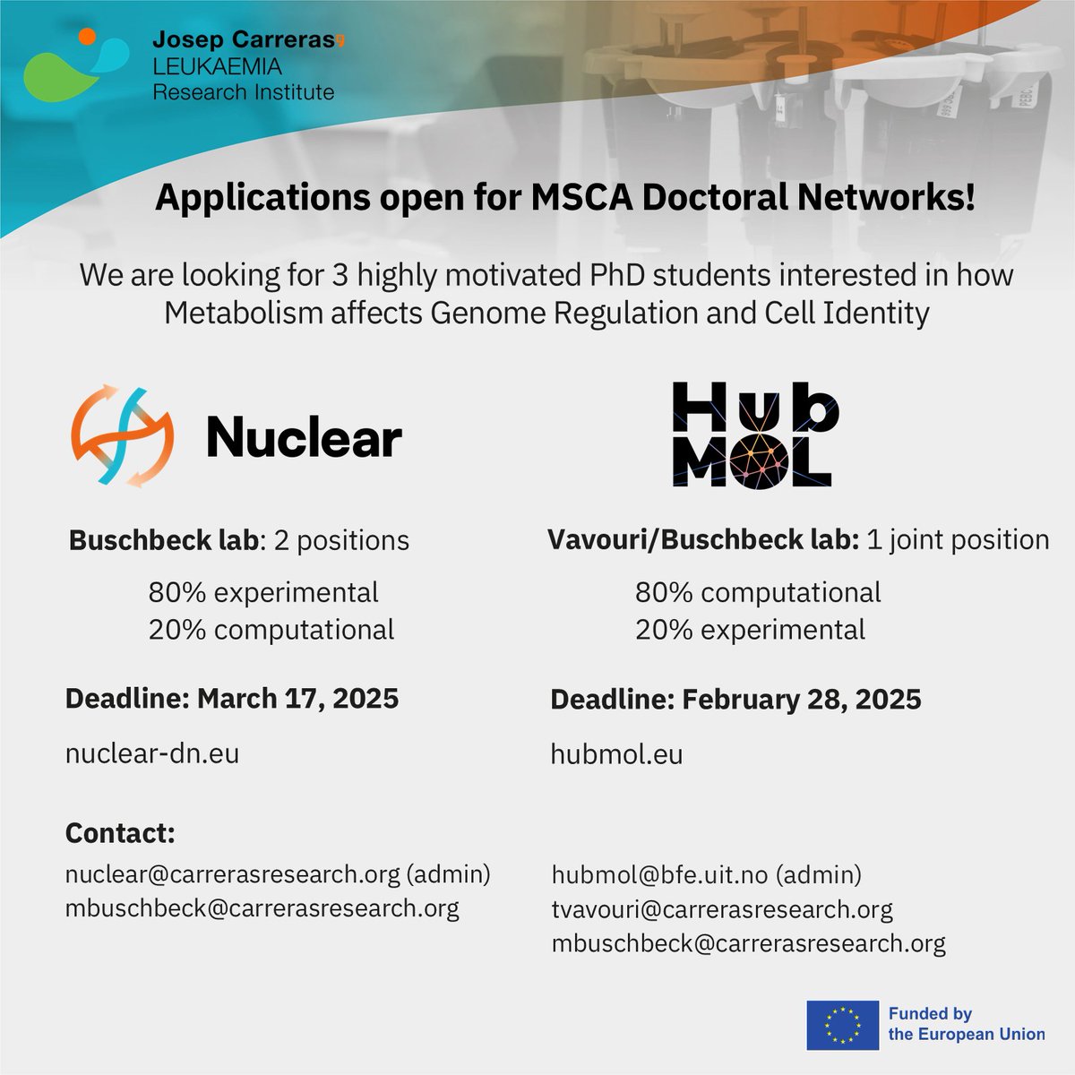 Josep Carreras Leukaemia Research Institute (IJC) (@carrerasijc) on Twitter photo 🚨 Final weeks to apply!
📢 We're hiring 3⃣ PhD students to study how metabolism shapes genome regulation as <a href="/MSCActions/">Marie Skłodowska-Curie Actions</a> fellows in <a href="/MarcusBuschbeck/">Marcus Buschbeck and Lab</a>'s & <a href="/tvavouri/">Tanya Vavouri</a>'s labs!
🔬 2 experimental: nuclear-dn.eu
💻 1 computational: hubmol.eu
Join us! 🚀 🚨 Final weeks to apply!
📢 We're hiring 3⃣ PhD students to study how metabolism shapes genome regulation as <a href="/MSCActions/">Marie Skłodowska-Curie Actions</a> fellows in <a href="/MarcusBuschbeck/">Marcus Buschbeck and Lab</a>'s & <a href="/tvavouri/">Tanya Vavouri</a>'s labs!
🔬 2 experimental: nuclear-dn.eu
💻 1 computational: hubmol.eu
Join us! 🚀