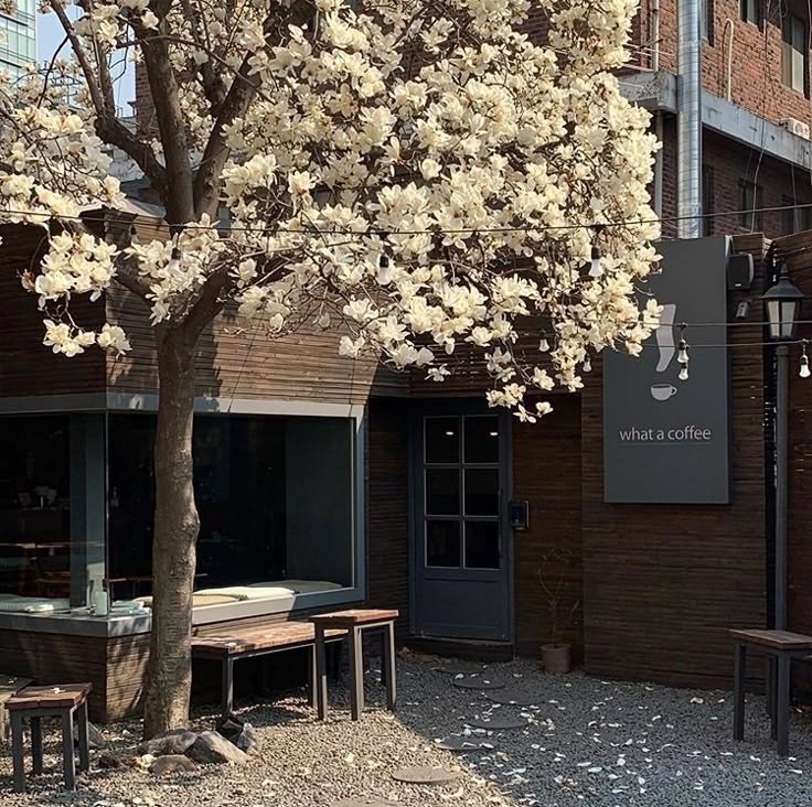 thinhaech's tweet image. ˚ ೀ⋆｡ 𝒄𝒐𝒎𝒐 𝒔𝒆 𝒂𝒇𝒖𝒏𝒅𝒂𝒓 𝒏𝒐 𝒔𝒆𝒖 𝒕.𝒂.
  uma thread para o edtwt e subs.
♡ + ⟳ são apreciados !