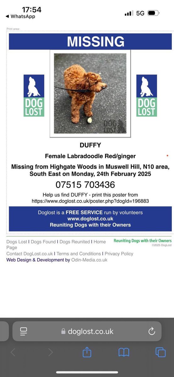 A friend’s dog bolted off from her walker on #HighgateWood yesterday. 

Any north London followers please share/keep your eyes peeled. 

Thanks.