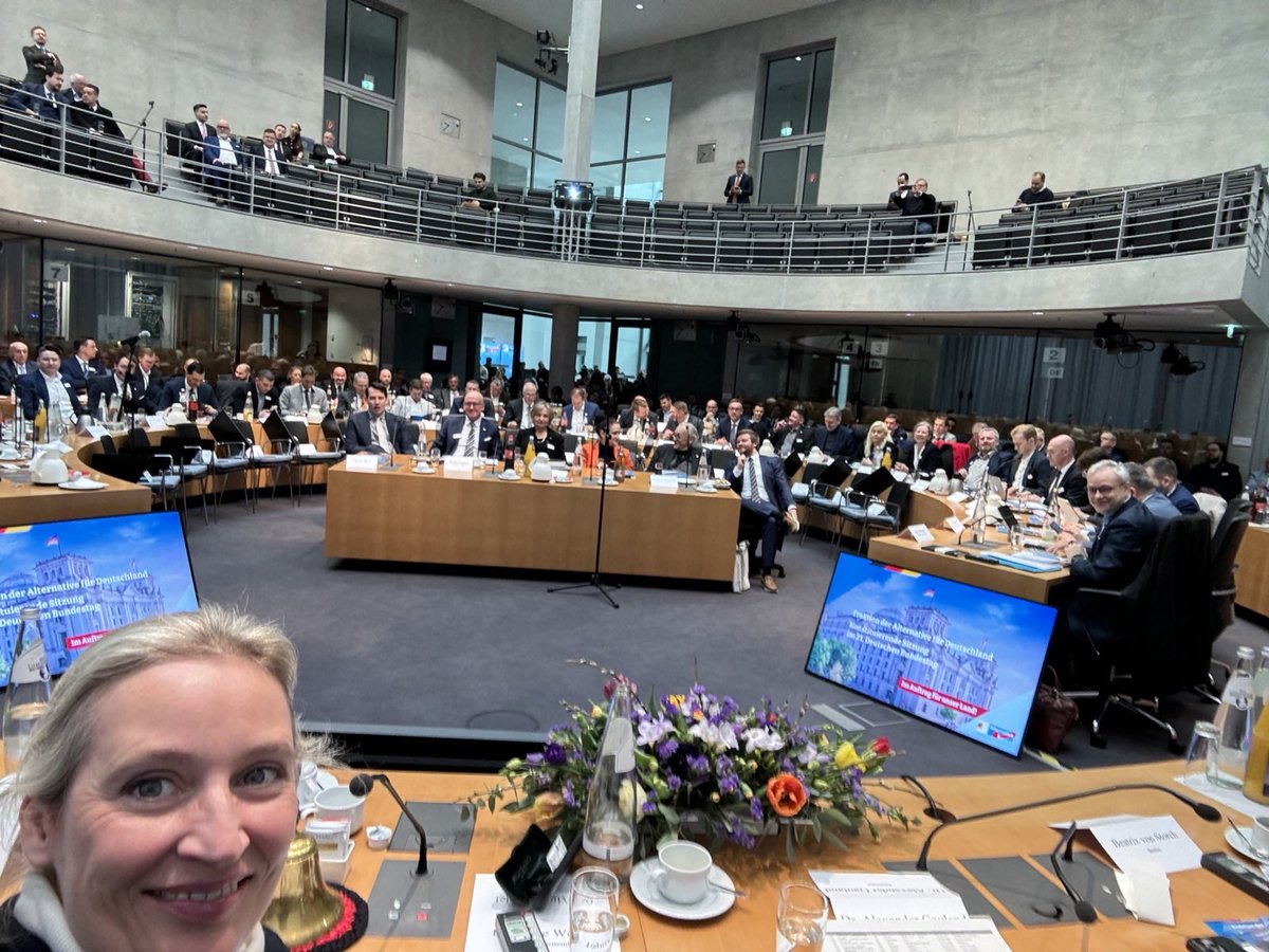 Alice Weidel tweet media