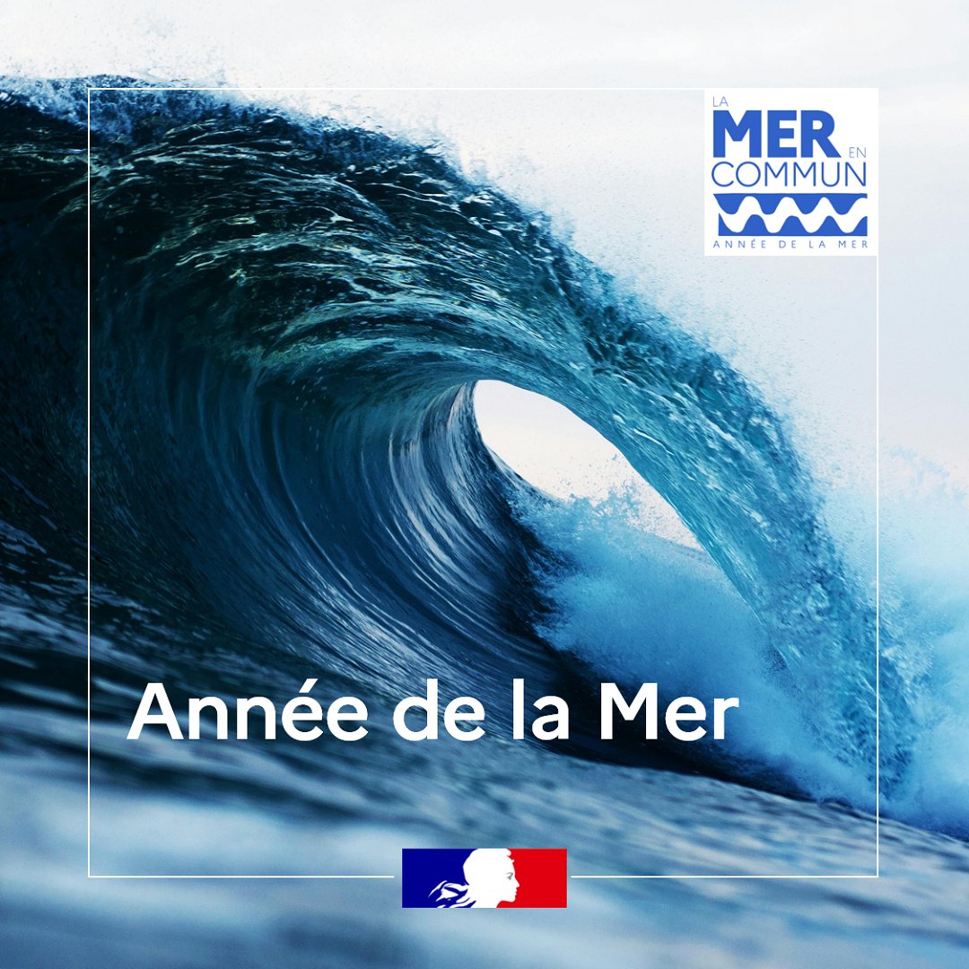 L'année 2025 est placée sous le signe de la mer 🌊 #AnnéeDeLaMer

Vous conduisez des actions pour sensibiliser vos élèves à la richesse du milieu marin et à sa préservation ? Valorisez vos projets pédagogiques avec la labellisation #LaMerEnCommun

⚓ eduscol.education.fr/4182/annee-de-…