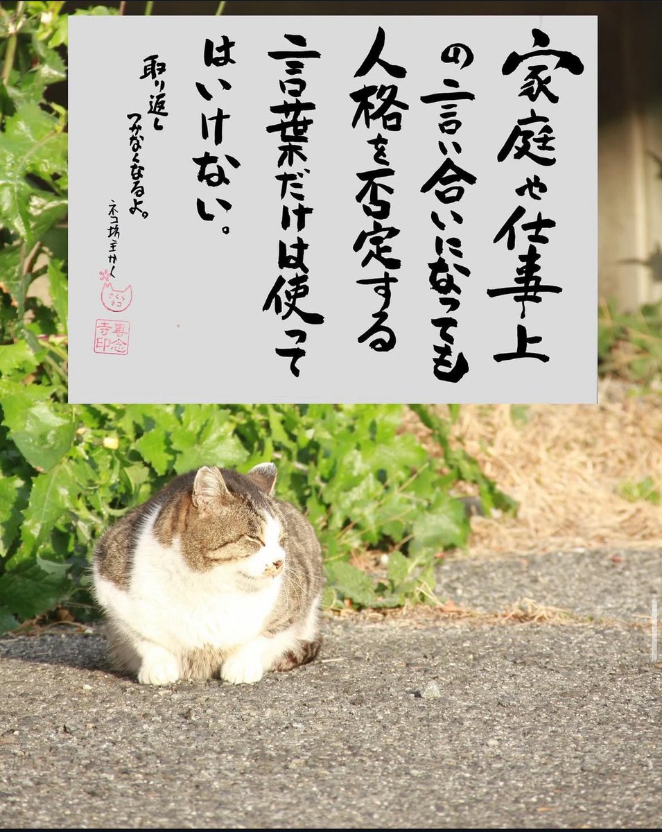 yabumoto610's tweet photo. ネコさんから人間さんへ今日の一言 https://t.co/eXQXhEh8xy