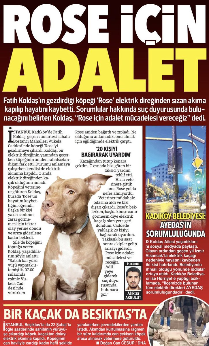 Mino (@minakoldas) on Twitter photo Sorumlu olanlar ; <a href="/SabanciHolding/">Sabancı Holding</a> <a href="/ayedasdestek/">Ayedaş Destek</a>
#Roseicinadaletistiyoruz
#roseicinadalet Sorumlu olanlar ; <a href="/SabanciHolding/">Sabancı Holding</a> <a href="/ayedasdestek/">Ayedaş Destek</a>
#Roseicinadaletistiyoruz
#roseicinadalet