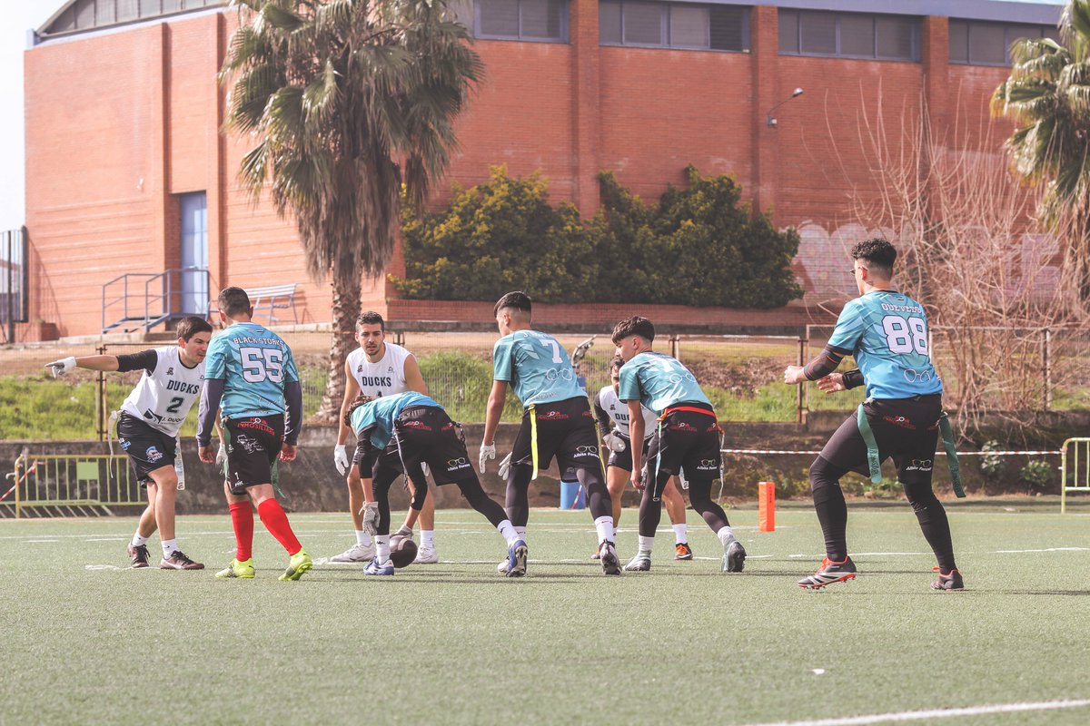 ExtremaduraFAFF's tweet photo. 🏈 "Black Storks da batalla en casa pero los Plasencia Ducks continúan invictos tras una Jornada 5⃣ muy interesante en la LFFE Open"
#WhiteStorks⚪️ 12-19 #BlackStorks⚫️
#Ducks🦆 28-12 #WhiteStorks⚪️
#BlackStorks⚫️ 21-35 #Ducks🦆
📝 Crónica ⤵️
https://t.co/E58e4pYwSI https://t.co/ZrStOQST8P