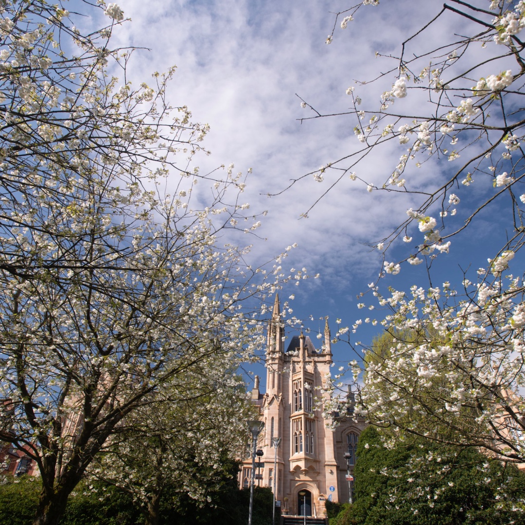 Calling all students in Life and Health Sciences! 
  
Join us for the Inaugural Interprofessional Education Festival at our Derry~Londonderry campus on 4 April 2025!  
  
Don’t miss this opportunity to learn, grow, and connect!
  
Register now: ow.ly/9S1S50V4lz2

#WeAreUU